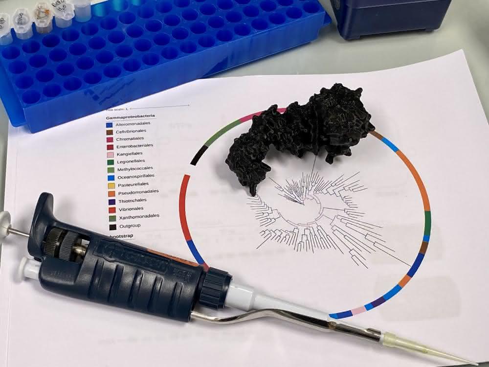 Molekularbiologie und Bioinformatik: Zwei Milliarden Jahre altes Enzym rekonstruiert