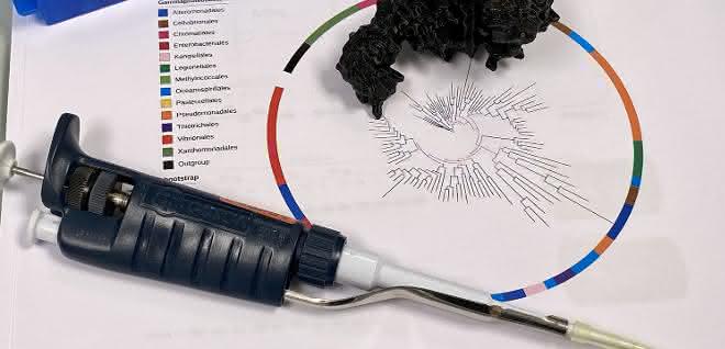 Molekularbiologie und Bioinformatik: Zwei Milliarden Jahre altes Enzym rekonstruiert Molekularbiologie und Bioinformatik: Zwei Milliarden Jahre altes Enzym rekonstruiert