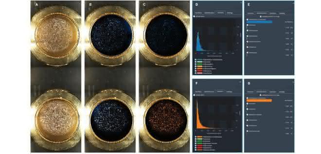 Proben auf goldbeschichteten Polyestermembranfiltern