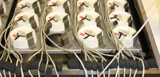 Studie: Vermehrte CO₂-Emissionen durch bioabbaubares Mikroplastik Respicond-Anlage
