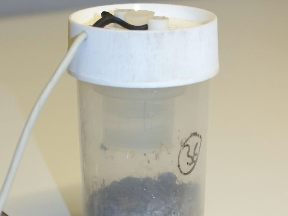 Studie: Vermehrte CO₂-Emissionen durch bioabbaubares Mikroplastik Studie: Vermehrte CO₂-Emissionen durch bioabbaubares Mikroplastik