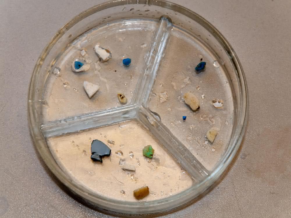 Vertikale Flüsse von Kunststoffpartikeln gemessen: Wege von Mikroplastik in Meeren Vertikale Flüsse von Kunststoffpartikeln gemessen: Wege von Mikroplastik in Meeren
