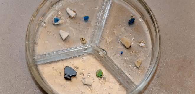 Vertikale Flüsse von Kunststoffpartikeln gemessen: Wege von Mikroplastik in Meeren Vertikale Flüsse von Kunststoffpartikeln gemessen: Wege von Mikroplastik in Meeren