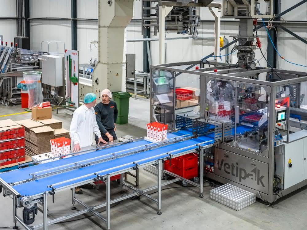 Packaging solution with integrated control system: Vetipak relies on robotics from Omron