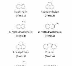 Polyzyklische aromatische Kohlenwasserstoffe: PAK chromatographisch bestimmen Polyzyklische aromatische Kohlenwasserstoffe: PAK chromatographisch bestimmen