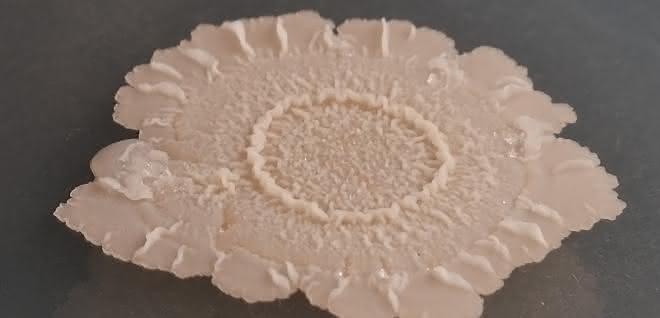 Vielseitiger Bacillus: Mikrobe des Jahres 2023 Vielseitiger Bacillus: Mikrobe des Jahres 2023