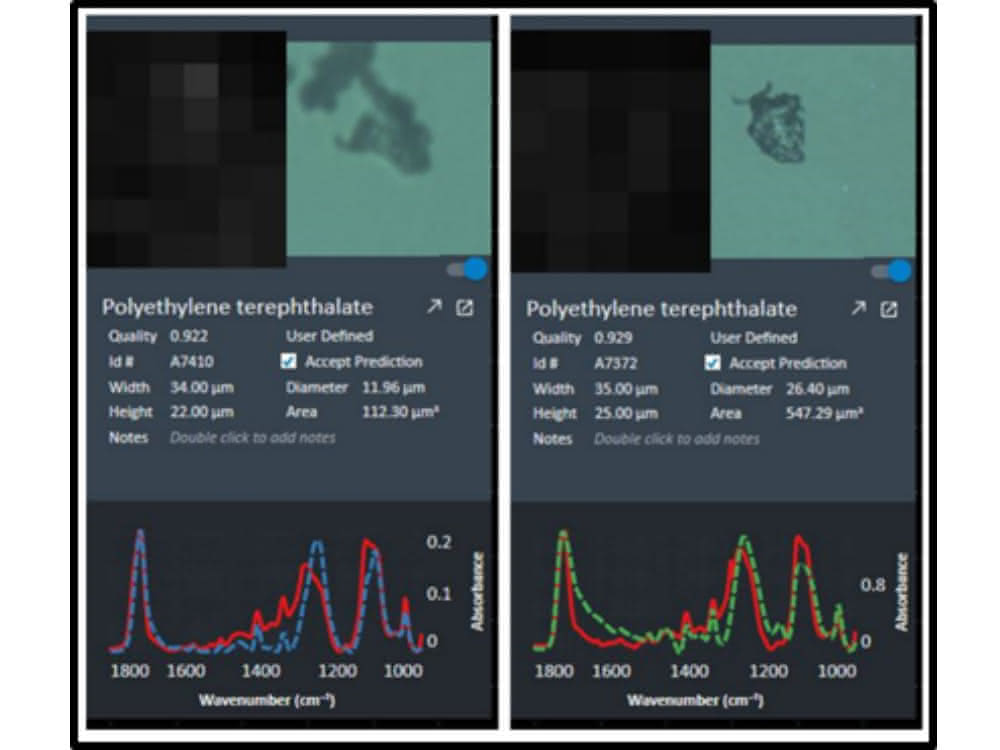 Spektren zum Chemical Imaging (Analyseergebnis)