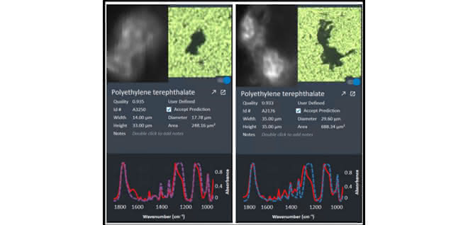 Spektren zum Chemical Imaging (Analyseergebnis)