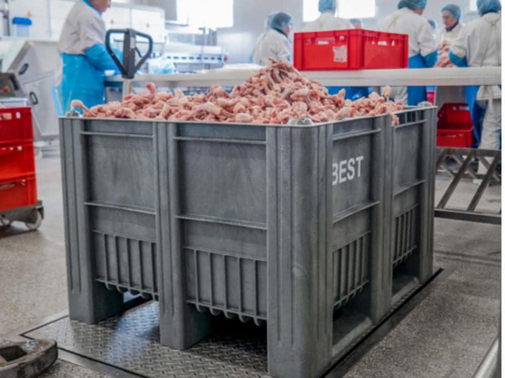 CB3 pallet box as a transport container for slaughterhouse waste CB3 pallet box as a transport container for slaughterhouse waste