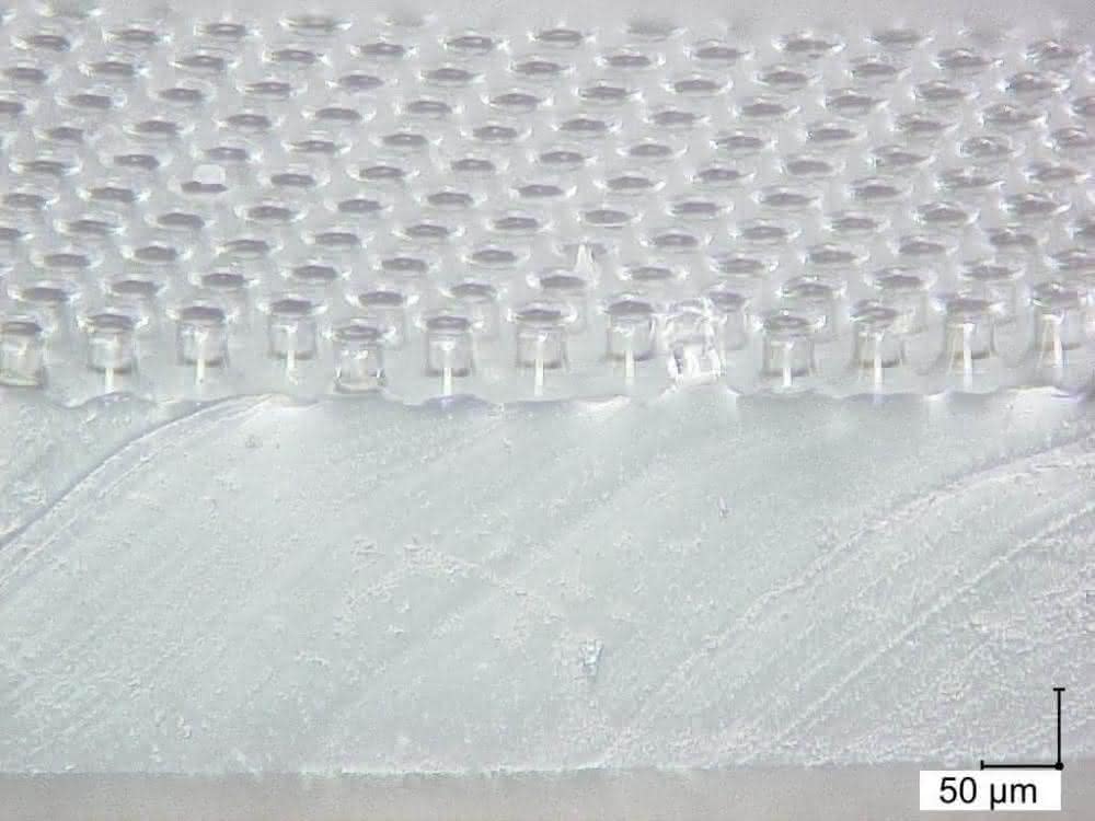 Handling of micro components: Contact behavior between gecko film and microspheres