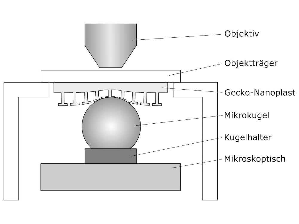 Handling of micro components: Contact behavior between gecko film and microspheres