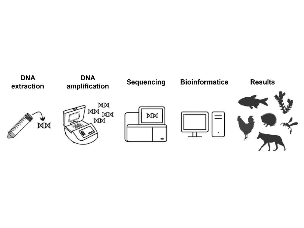 Probennahme: Spezialdrohne sammelt auf Bäumen Umwelt-DNA