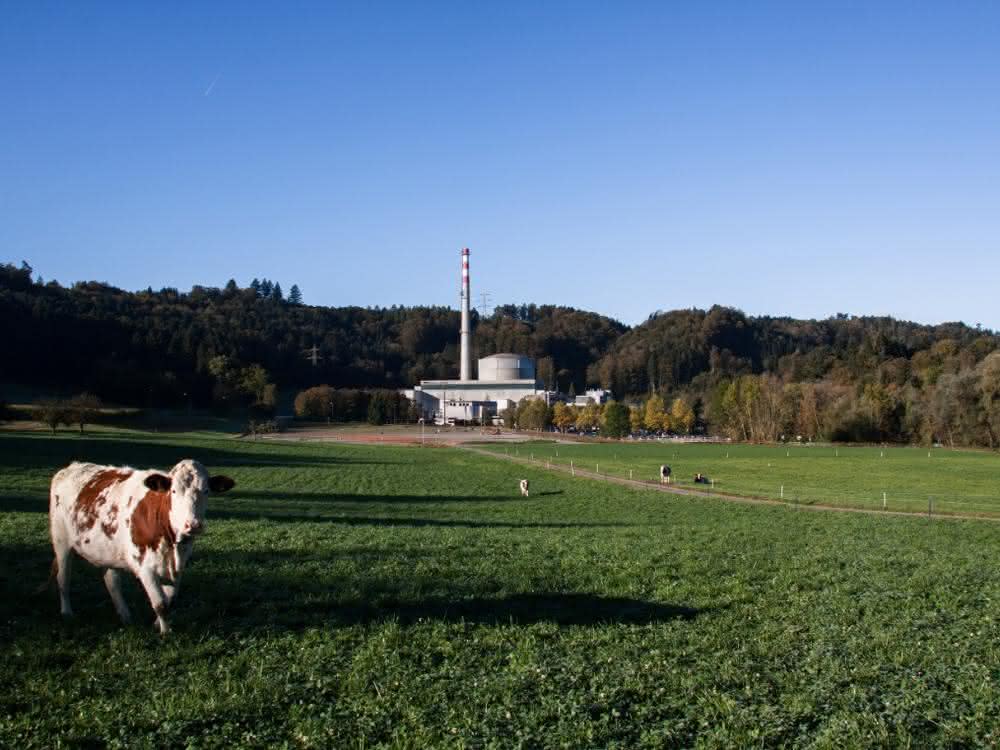 Bemessungs-Software Anchor Profi in Schweizer Atomkraftwerk
