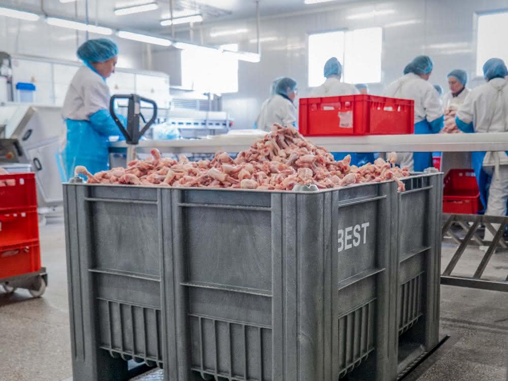 Display: Robust Craemer pallet box CB3 made of polyethylene for category 3 slaughterhouse waste