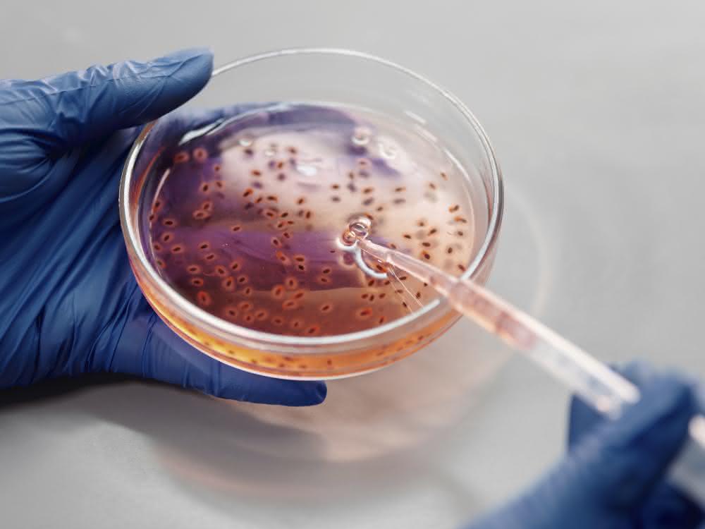 Anzeige: Labbox: erschwingliches Labormaterial mit schneller Lieferung