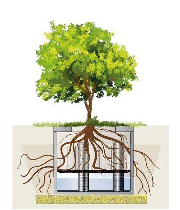 Leserwahl 2025 - Produkte des Jahres: Baumrigole ViaTree