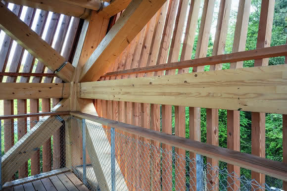 Ingenieurholzbau: Baumwipfelpfad - Waldspaziergang in luftiger Höhe
