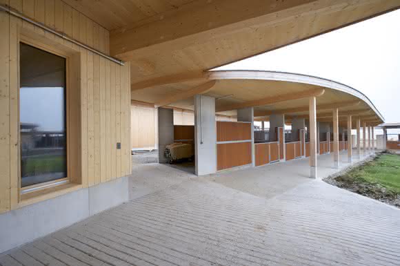 Ingenieurholzbau: Reitstall - Reithalle - Pension: Bauen für Mensch und Tier