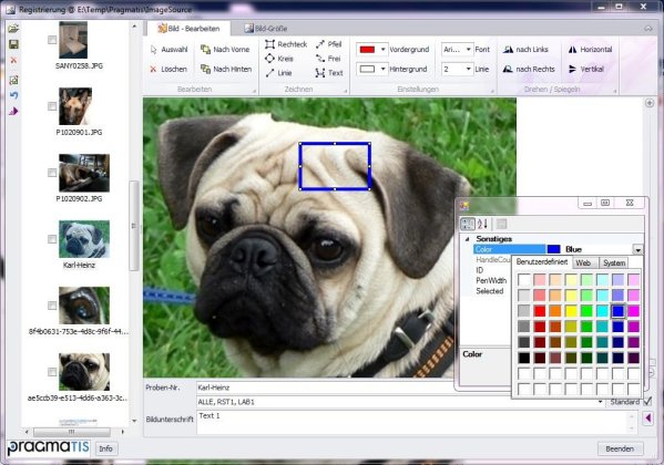 Produkt-News: Neueste Innovation von Pragmatis: Fotoeditor für LIMS