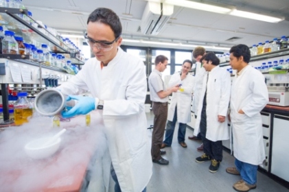 Life Sciences Innovations: Hochgiftiges aus Meeresschwämmen
